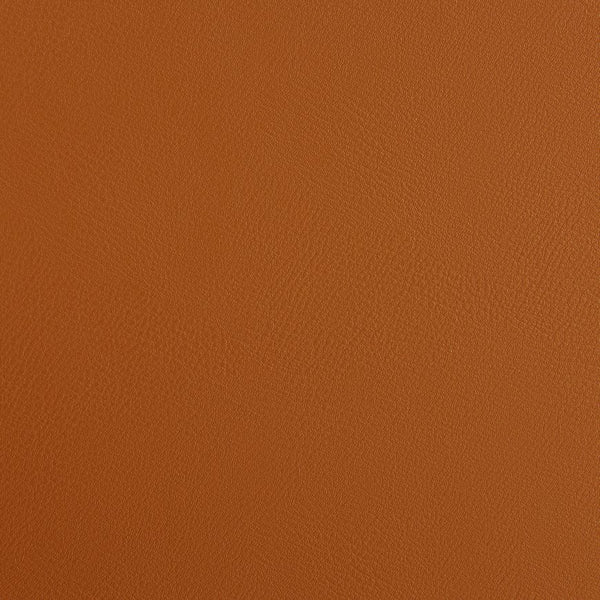 Blanche Side Chair - Sleek Design with Comfortable Foam Seat for Elegant Home Decor - Set of 2