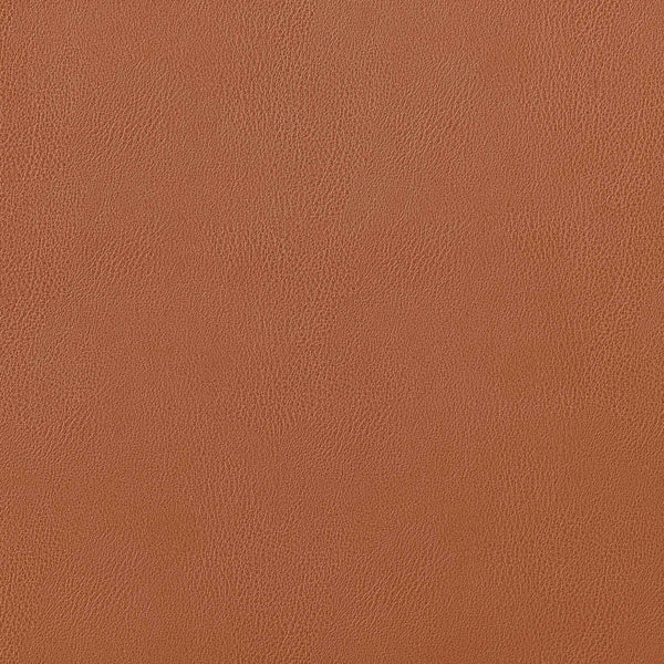 Blanche Side Chair Tan 91017-TAN