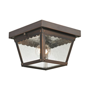 Thomas Lighting Springfield Outdoor Flush Mount with Seeded Glass and Bronze Finish for Porch Entryway 8 inches 9102EF/70
