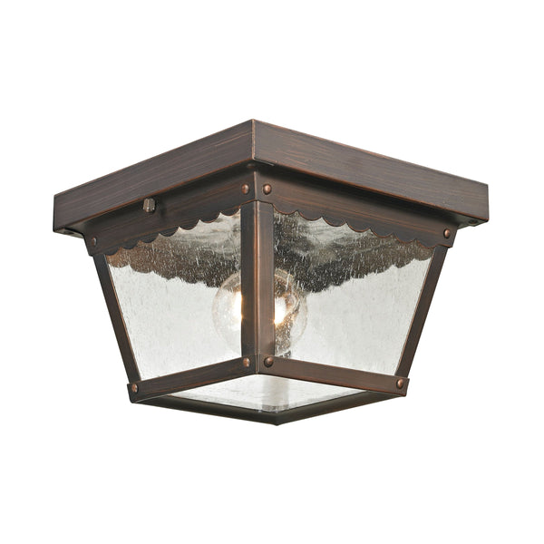 Thomas Lighting Springfield Outdoor Flush Mount with Seeded Glass and Bronze Finish for Porch Entryway 8 inches 9102EF/70