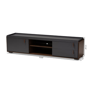 Baxton Studio Baxton Studio Modern Two-Tone Gray & Walnut 2-Drawer TV Stand for Organized Living Room Style BR3TV313-Columbia/Dark Grey-TV