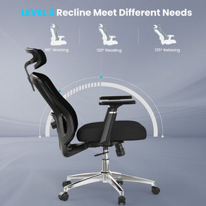 English Elm Ergonomic High Back Mesh Desk Chair with Flip up Arms and Adjustable Lumbar Support Black T3623P435558