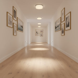 English Elm 12-inch Flush Mount Ceiling Light Dimmable Led Frosted Acrylic Matte Modern Fixture Chrome B370P398959