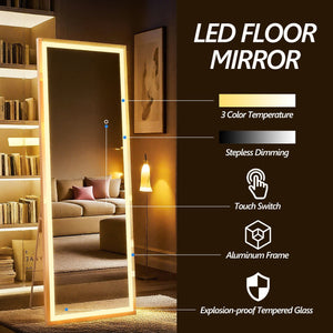 English Elm 63x24 Inch LED Full Length Mirror with 180 LEDs, Dimmable 3-Color Temps, Shatterproof Tempered Glass Frame T3757P347063