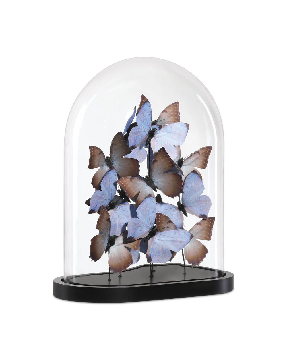 Currey & Company Rue De Bac Enchanting Medium Butterflies In Soft Blue & Pink - Elegantly Displayed Glass Dome Decor Blue Paper ,Engineered Wood ,Glass 1200-0977-currey-company