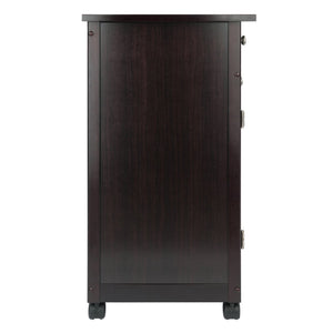 Winsome Wood Savannah Kitchen Utility Cart - Espresso Finish With Spacious Storage, Casters & Elegant Design Espresso Solid ,Composite Wood 92626-winsome-wood