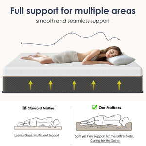 English Elm 10 Inch Full Hybrid Mattress Pocket Spring Memory Foam Medium Firm Edge Support W2889P452613