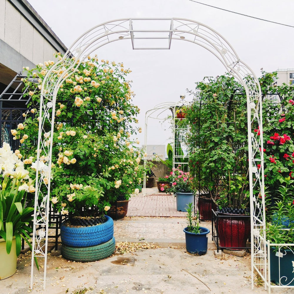 English Elm Metal Garden Arch Powder Coated Steel Trellis for Climbing Roses Outdoor Weddings Cream White W1586P268771