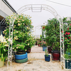 English Elm Metal Garden Arch Powder Coated Steel Trellis for Climbing Roses Outdoor Weddings Cream White W1586P268771