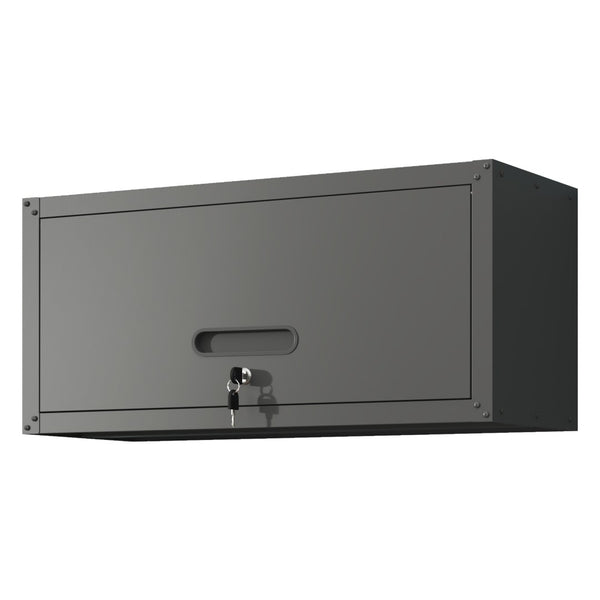English Elm Heavy Duty Wall Mounted Steel Cabinet Locking Lift Door Garage Workshop Storage Black T2398P236482