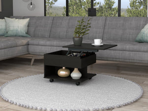 English Elm Babel Lift Top Coffee Table with Hidden Storage Casters and Open Shelf for Living Room B097P407605