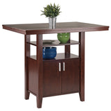 Winsome Wood Albany High Table With Storage Cabinet - Stylish Walnut Design For Dining, Work, Or Accent Use Walnut Solid ,Composite Wood 94042-winsome-wood