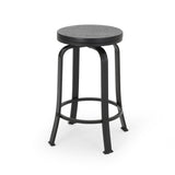 Christopher Knight Home® - Noble House - Skyla Modern Industrial Swiveling Counter Stool (Set of 2)