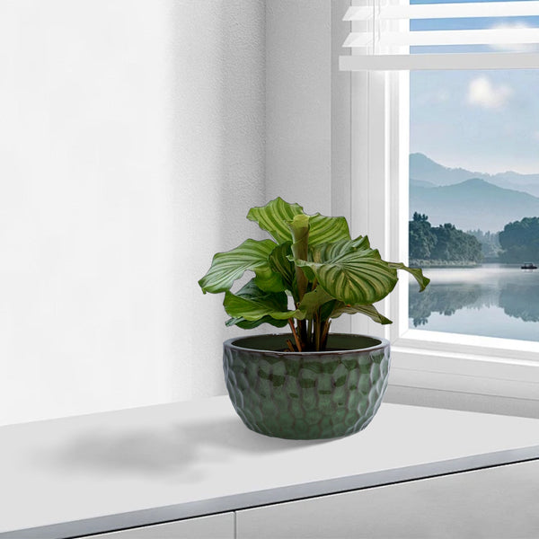 English Elm 3 Pieces Ceramic Flowerpot Set - Handcrafted Antique Green Planters For Indoor & Outdoor Decor W3273P321525