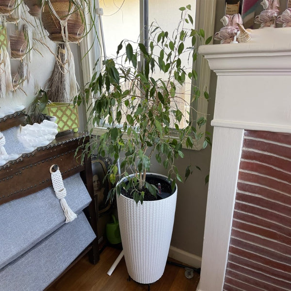 English Elm Set of 2 Faux Rattan Tall Outdoor Planters with Auto Watering and Level Monitor W3213P311467