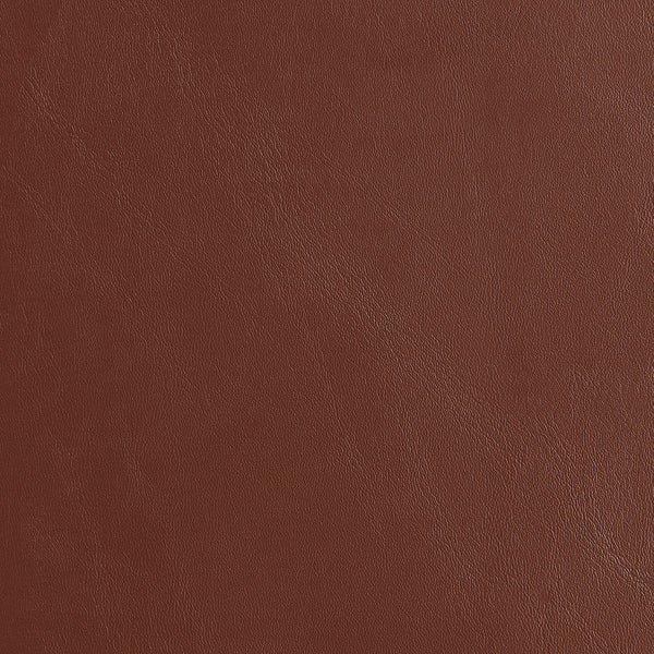 Bettina Lounge Chair in Brown Leatherette with Matte Black Frame 94276-BRN EuroStyle