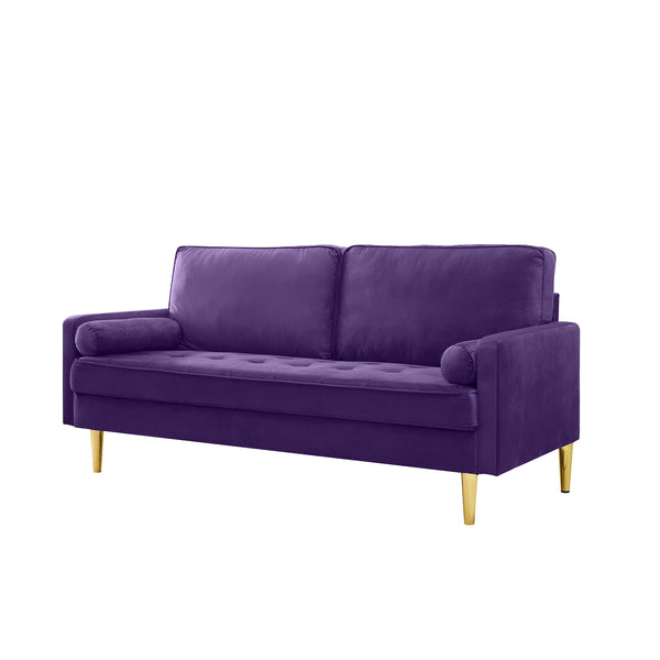 English Elm 65-inch minimalist velvet loveseat with gold metal legs, thick cushions, solid pine frame, 800lb capacity Purple W2795P247577