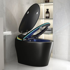 English Elm Unique Smart Toilet with Built in Bidet Auto Lid Foot Sensor and Warm Air Dryer W3133P384976