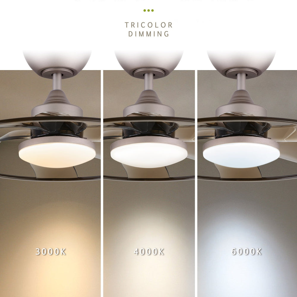 English Elm Light Pro 22" Led Indoor Coffee Ceiling Fan With Remote - Smart Control, Energy-Efficient Design T3177P284012