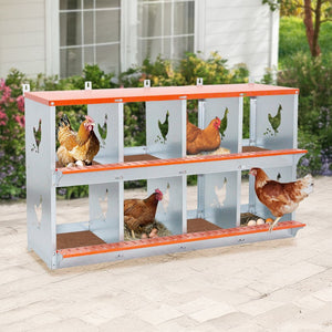 English Elm 8-bay Galvanized Steel Wall Mount Nesting Box for Backyard Hens with Vented Design W1422P355411