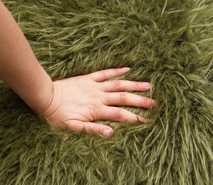 English Elm 1Pc Accent Chair - Plush Faux Fur Upholstery With Raked Wooden Arms For Cozy Contemporary Style B2741P401370