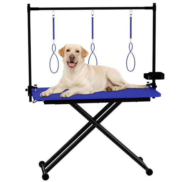 English Elm 47'' Foldable Dog Grooming Table X-lift Adjustable Height Station with Arm Noose Organizer W3587P358751