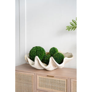 English Elm 25.3x16.5x8.5" Oversized Clam Shell Sculpture Glossy Coastal Decor Display Piece W2078P491173