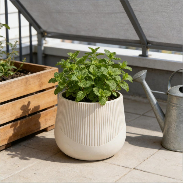 English Elm Large Magnesium Oxide Round Planter Set of 3 Lightweight Outdoor Patio Garden Pots W5212P434273