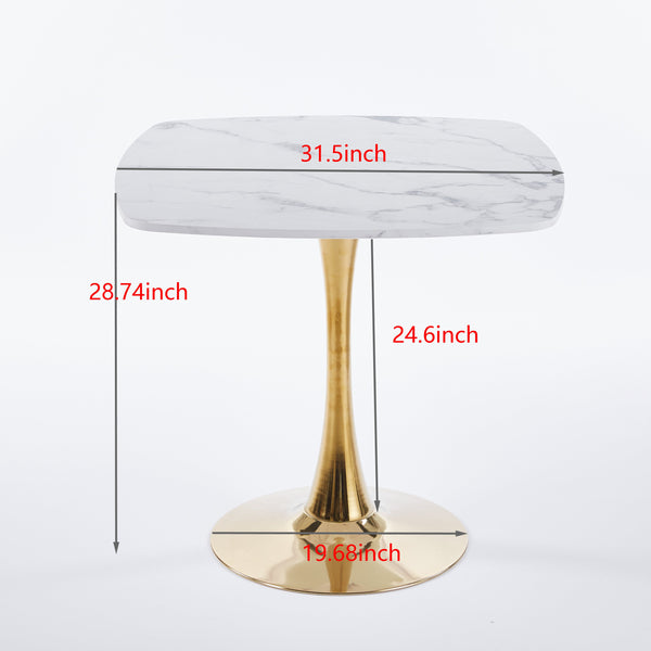 English Elm 31.5"SquareTulip Modern Mid-Century Bistro Table for 2-4 | White MDF Top & Gold Pedestal, Compact Chic W3766P370529