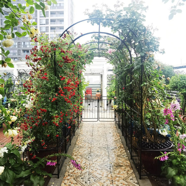 English Elm Metal Garden Arch with Planter Stands Powder Coated Steel Climbing Rose Support W158681135