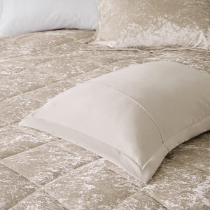 English Elm Twin/Twin Plush Velvet Comforter Set with Embroidered Throw Pillow, Quilted Microfiber Reversible Luxury Bedding B035P203251