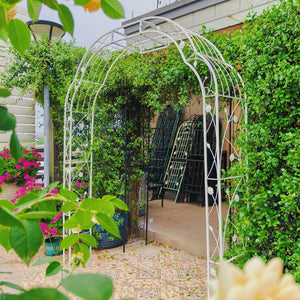 English Elm Metal Garden Arch Powder Coated Steel Trellis for Climbing Roses Outdoor Weddings Cream White W1586P268771