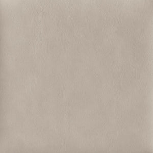 Meridian Furniture Adrian Vegan Leather Dining Chair with Solid Wood Legs Modern Upholstered Seat for Any Room Taupe Set of 2 972Taupe-SC