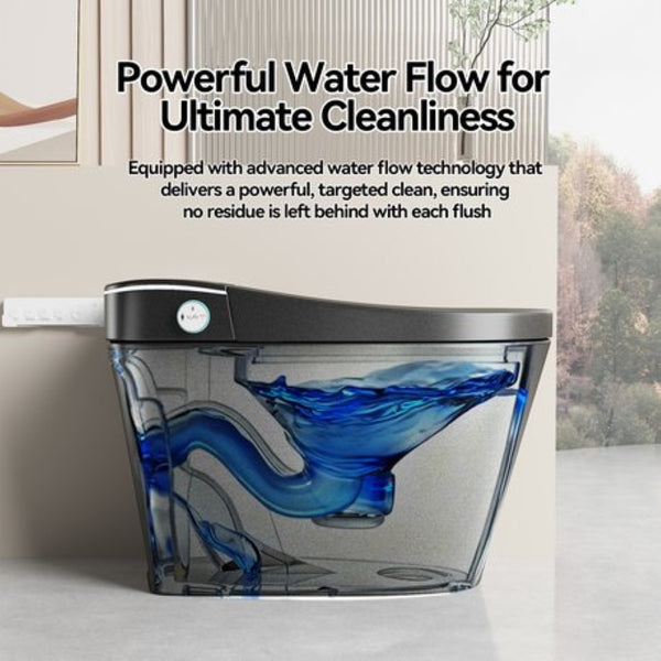 English Elm Unique Intelligent One-piece Toilet with Integrated Bidet Heated Seat and Auto Lid Black W3133P414563