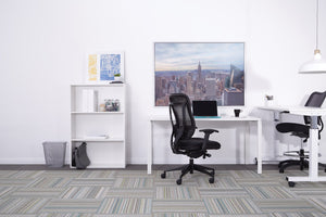 OSP Home Furnishings Executive Ergonomic High Back Office Chair with Mesh Lumbar Genuine Leather Seat Metal Base 818A-41P9C1A8