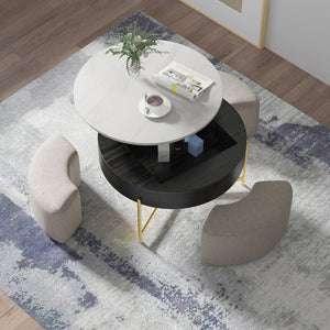 English Elm Vita Modern 31.5" Round Lift-Top Coffee Table Set with Iron Legs and Storage Shelves, Stylish Black,Light beige B341S00043