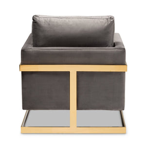 Baxton Studio Baxton Studio Glam Grey Velvet Armchair with Gold Frame - Luxe Comfort for Modern Living Spaces TSF-77241-Grey/Gold-CC
