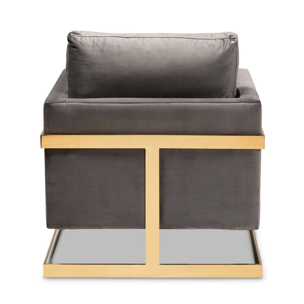 Baxton Studio Baxton Studio Glam Grey Velvet Armchair with Gold Frame - Luxe Comfort for Modern Living Spaces TSF-77241-Grey/Gold-CC