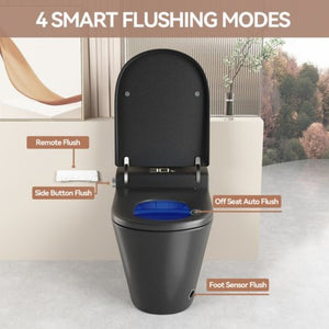 English Elm Unique Intelligent One-piece Toilet with Integrated Bidet Heated Seat and Auto Lid Black W3133P414563