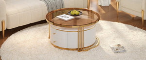English Elm Modern Round Nesting Coffee Table Set with Gold Pedestal Legs and Storage Drawers Brown,White N735P349323D
