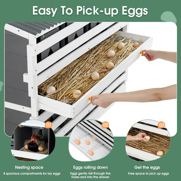 English Elm Nesting Box Pine Wood 8 Compartment Rollout Egg Collection Poultry Coop Unit W1850120022