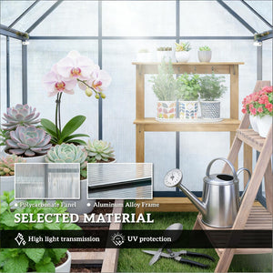English Elm Walk-in Aluminum Greenhouse with Polycarbonate Panels and Dual Roof Vents for Year-round Growth T3971P455072