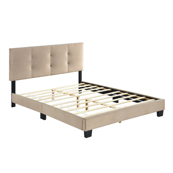 English Elm 1pc Full Platform Bed Newberry Brown Velvet Upholstered Button-Tufted Adjustable Headboard, Solid Wood Frame Light Brown 60 L x 26 W x 5 H B011P203574
