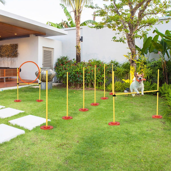 English Elm Pawhut Dog Agility Obstacle Set with Hoop Hurdle and Weave Poles Portable Kit W2225P200740