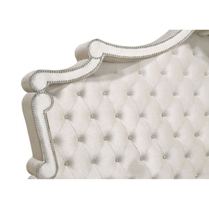 English Elm Justine Ivory Velvet Tufted Queen Bed with Camel Trim, Crystal Buttons, Chrome Nailhead Glam Finish B062S00712