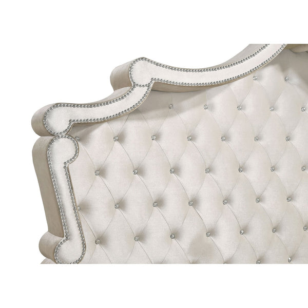 English Elm Justine Ivory Velvet Tufted Queen Bed with Camel Trim, Crystal Buttons, Chrome Nailhead Glam Finish B062S00712