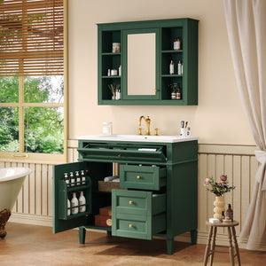 English Elm 36'' Modern Bathroom Vanity With Resin Sink, Mirror Cabinet, Soft-Close Drawers & 6 Shelves N710S236006F
