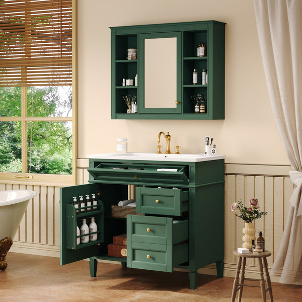 English Elm 36'' Modern Bathroom Vanity With Resin Sink, Mirror Cabinet, Soft-Close Drawers & 6 Shelves N710S236006F