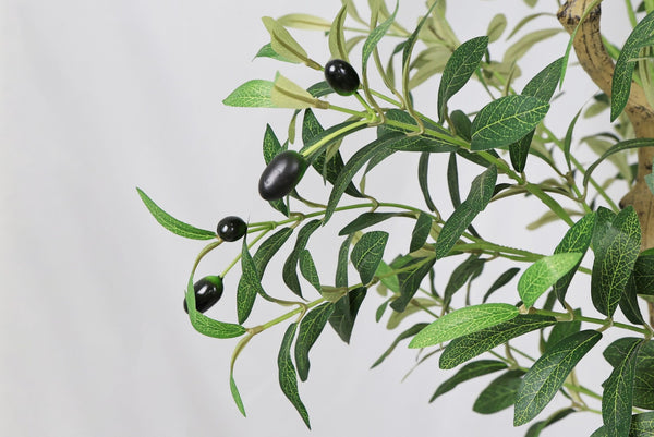 English Elm 8ft Artificial Olive Tree with Natural Wood Trunk Faux Fruit and Lifelike Foliage W2945P458768