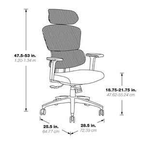 OSP Home Furnishings Mesh Back Ergonomic Manager Chair with Lumbar Support Adjustable Headrest and Padded Seat EM98958HR-3